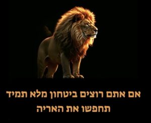 פתרונות מיגון